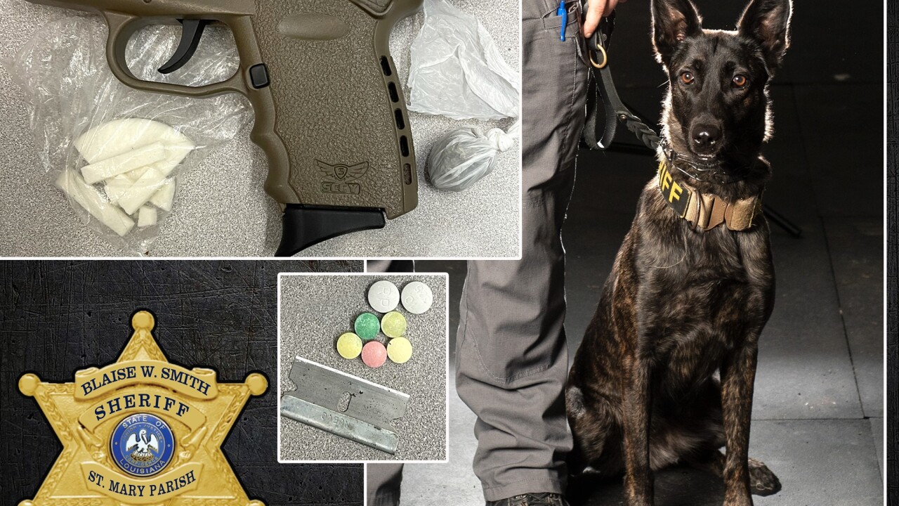 St. Mary Parish traffic stop leads to drug arrest